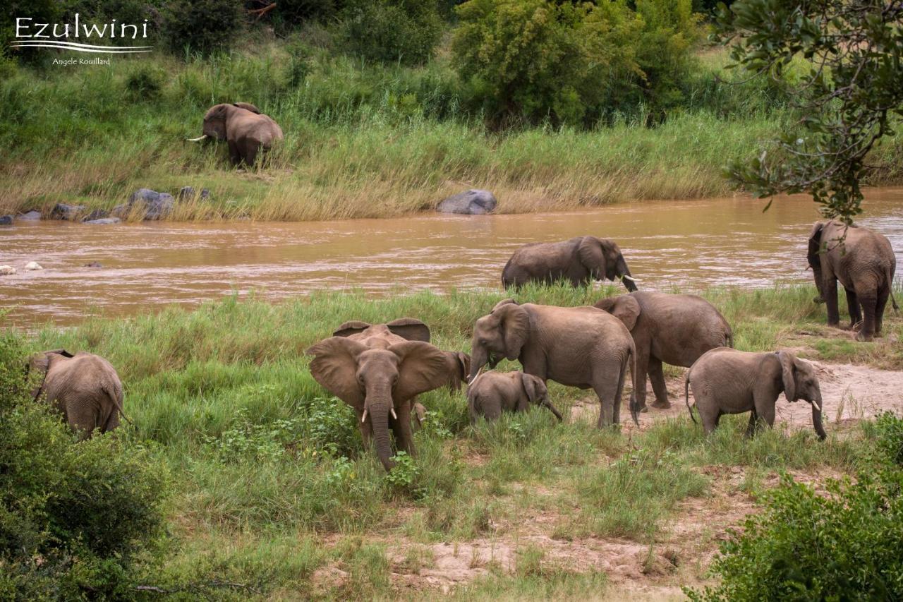 Ezulwini Game Lodges Mica Extérieur photo
