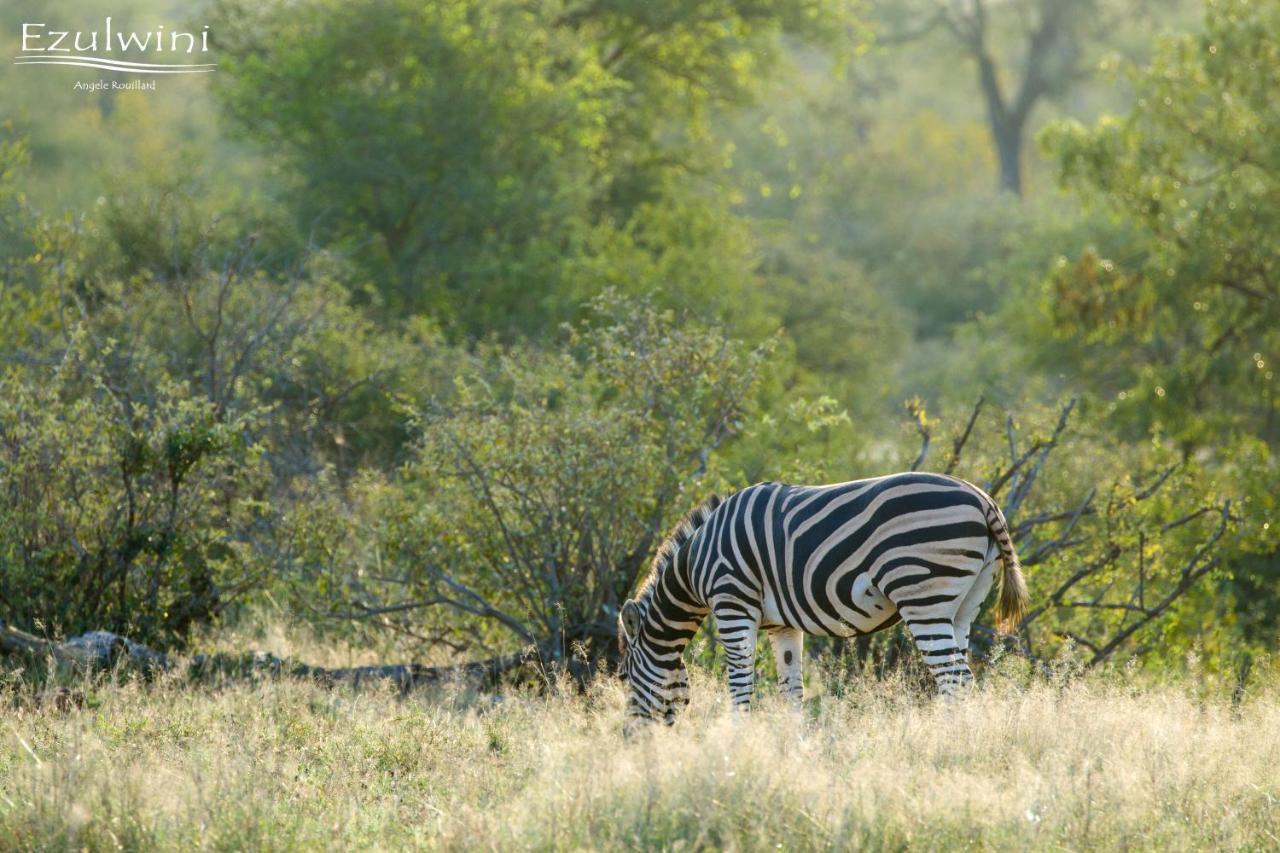 Ezulwini Game Lodges Mica Extérieur photo