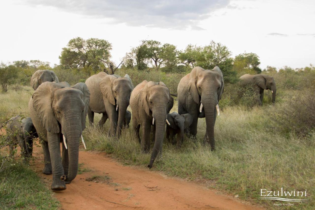 Ezulwini Game Lodges Mica Extérieur photo