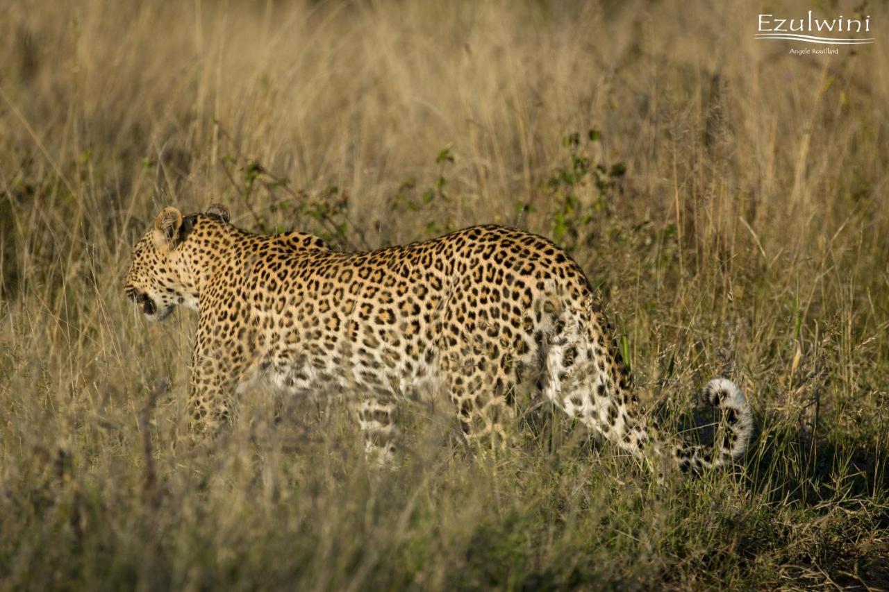 Ezulwini Game Lodges Mica Extérieur photo