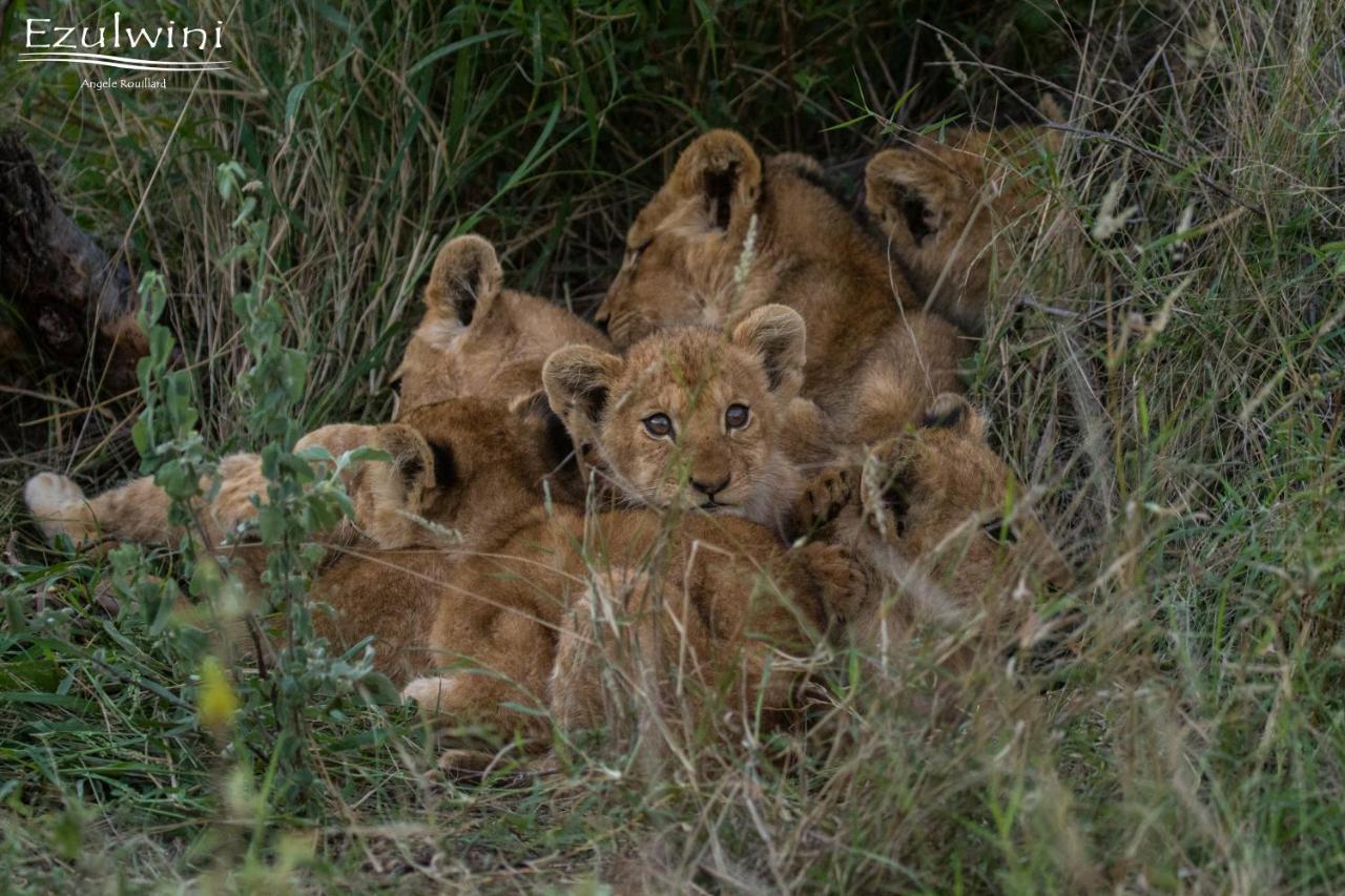 Ezulwini Game Lodges Mica Extérieur photo