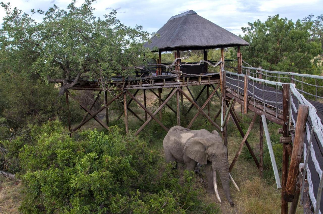Ezulwini Game Lodges Mica Extérieur photo